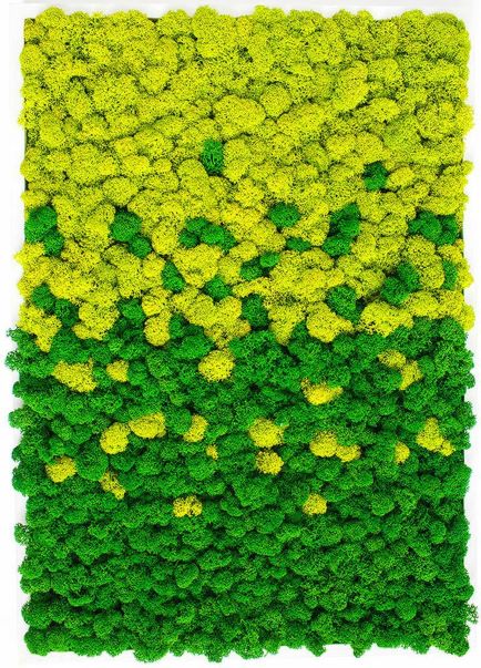 ba8808b531ba0b86eeb8d9f62d0b9422